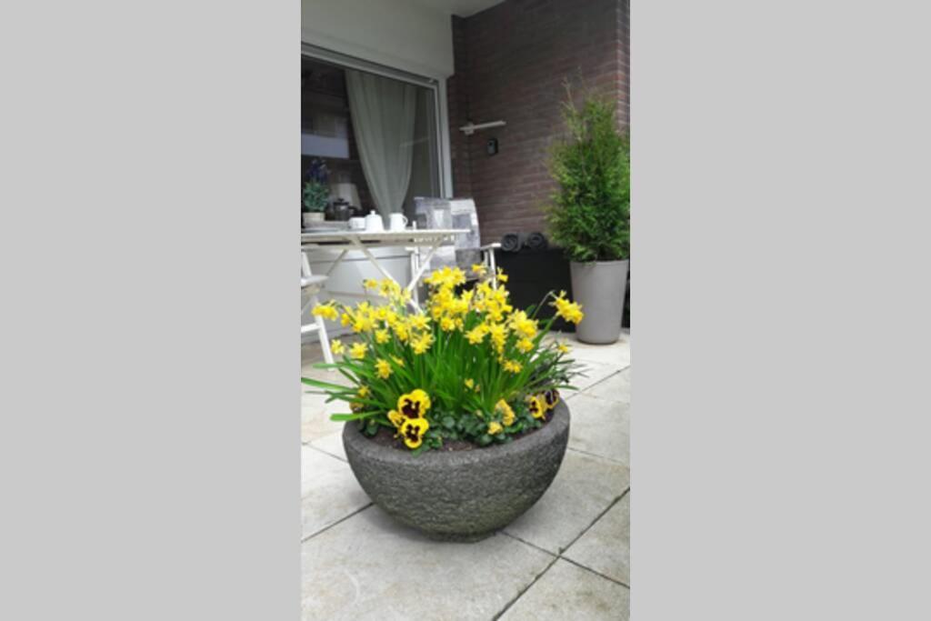 1 Zimmer Appartement Cap Arcona Neustadt in Holstein Kültér fotó