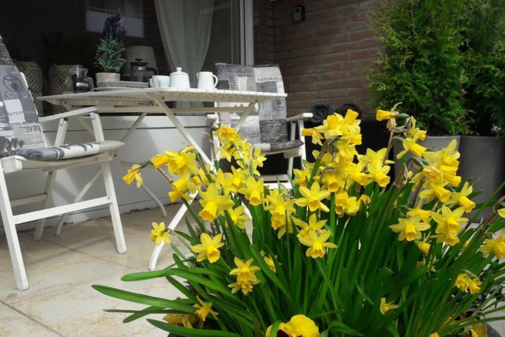 1 Zimmer Appartement Cap Arcona Neustadt in Holstein Kültér fotó